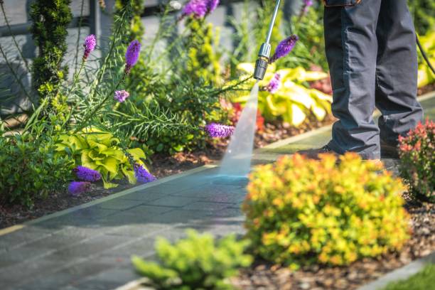Best Patio and Deck Pressure Washing  in Upper Lake, CA