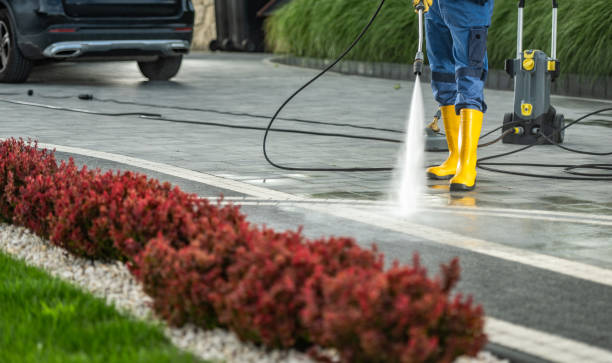 Best Driveway Pressure Washing  in Upper Lake, CA